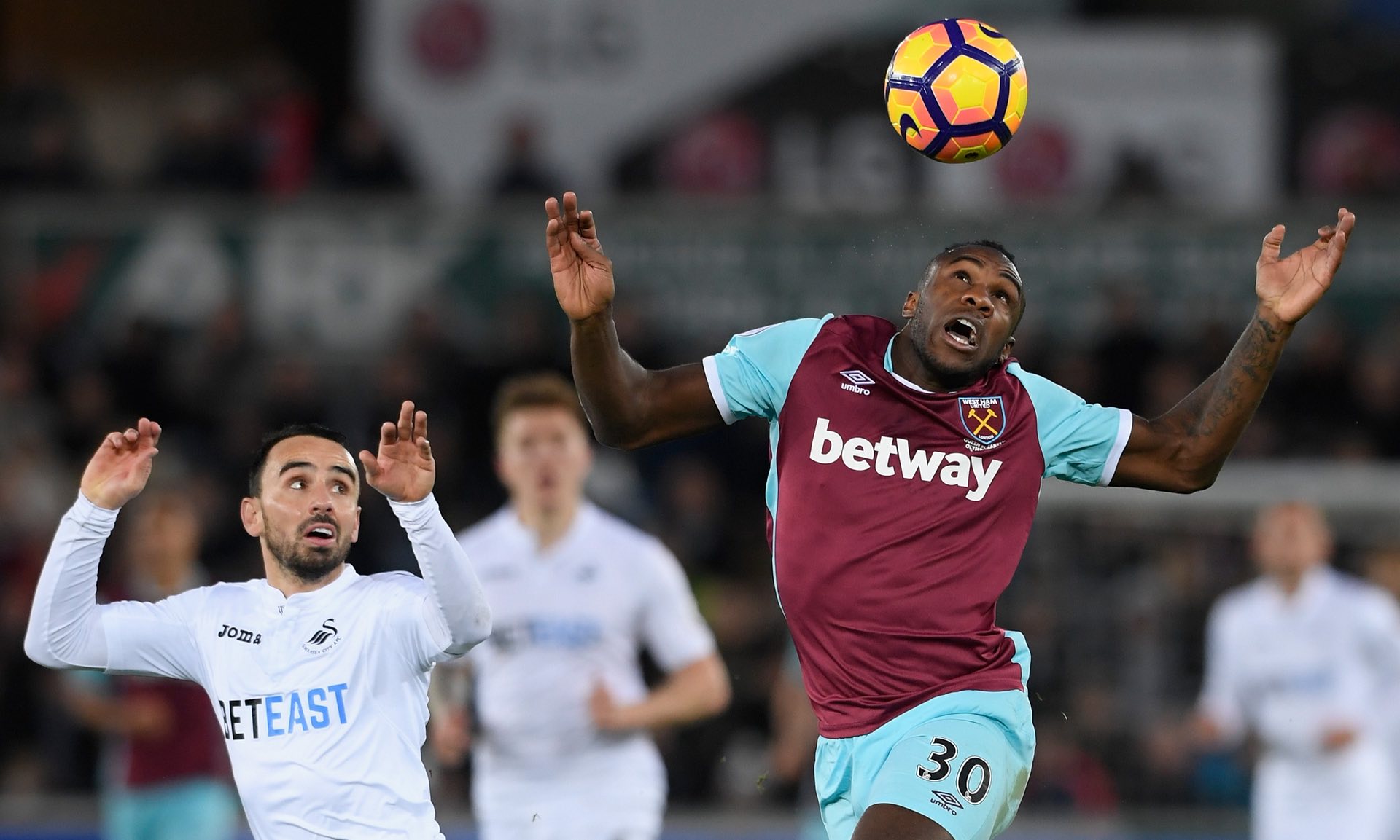 求的营养餐 求的营养餐